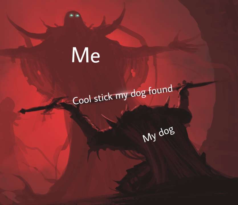 My dog when he brings me a toy